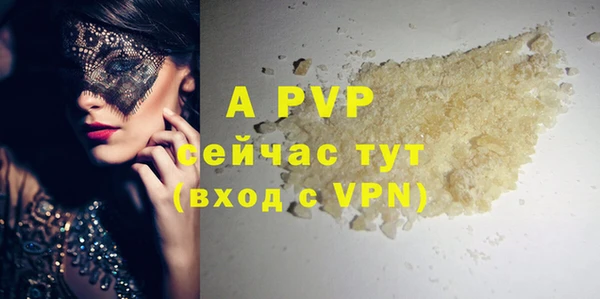гидра Гусиноозёрск