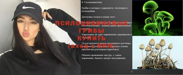 гидра Гусиноозёрск