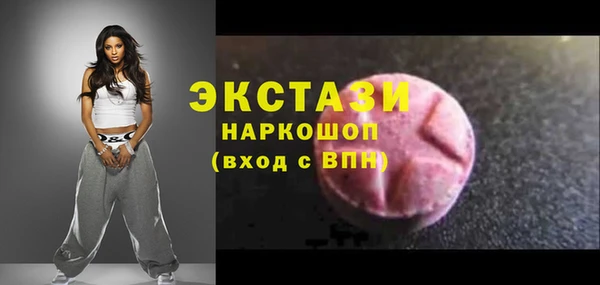 гидра Гусиноозёрск