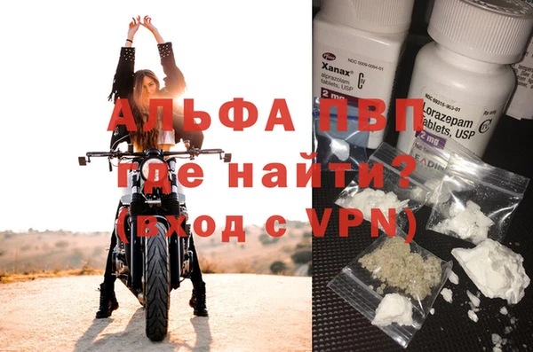 гидра Гусиноозёрск