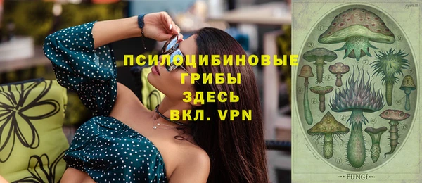 марки nbome Гусь-Хрустальный