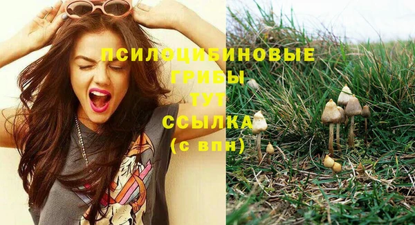 гидра Гусиноозёрск
