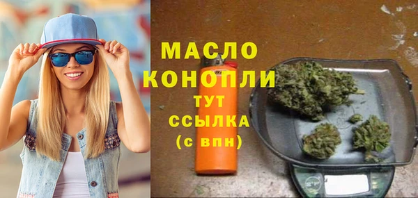 гидра Гусиноозёрск