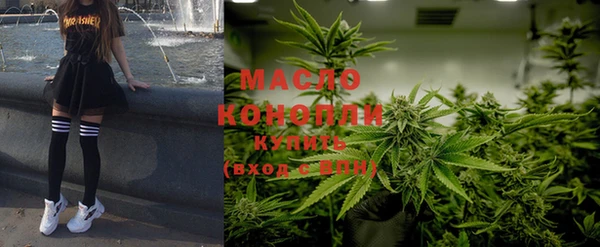 гидра Гусиноозёрск