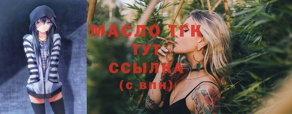 гидра Гусиноозёрск