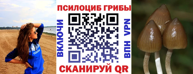 hydra ТОР  наркота  Щёлково  Галлюциногенные грибы прущие грибы 